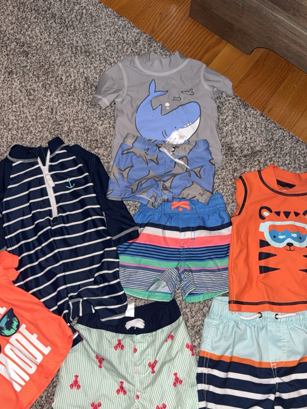 Boys 3-6 months swim bundle